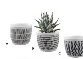 Black & White Terra Cotta Planters