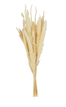 Bleached Bouquet Bundle