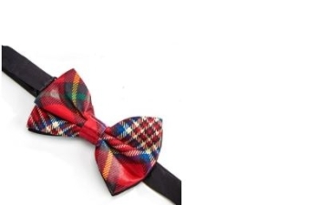 Fabric Bow Ties
