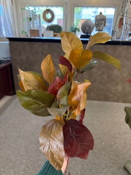 Fall Leaf Cluster