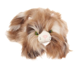 Googles Cat