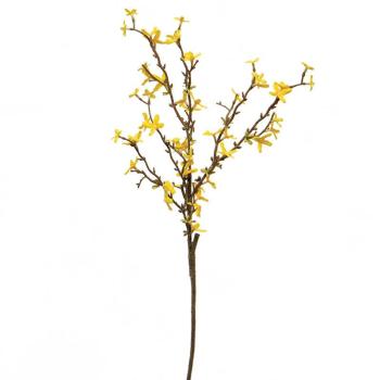Yellow Forsythia Spray 13