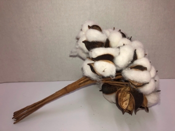 Cotton Bouquets