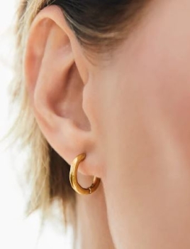 Moon Glade Huggie Hoop Earrings