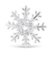 Snowflake Pin