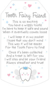 Tooth Fairy Friend - Boy