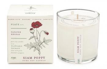 Kobo Siam Poppy