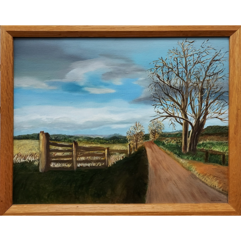 Back Road in Autumn