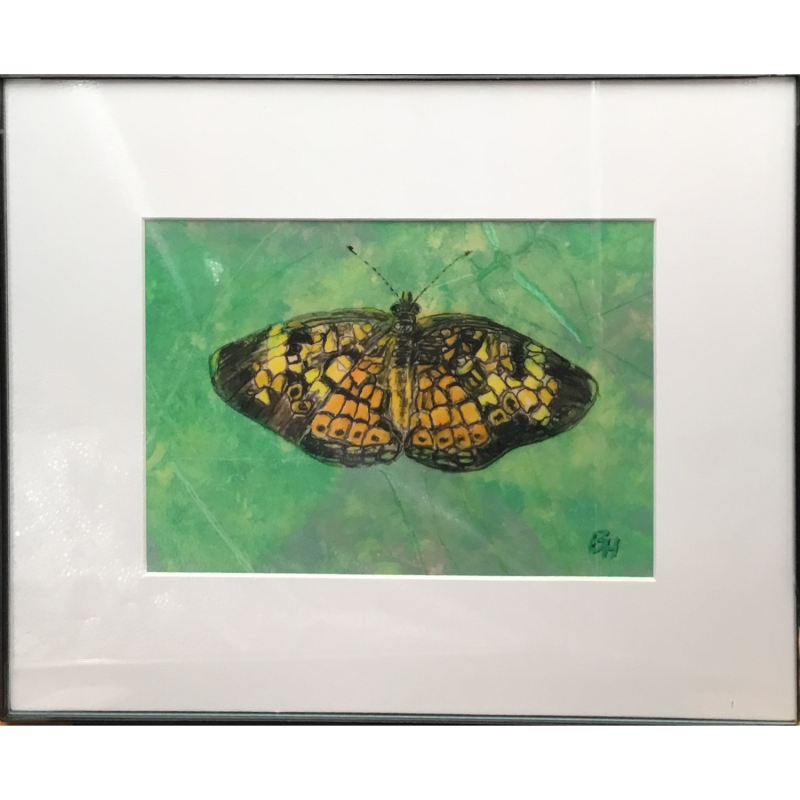 Crescent Butterfly