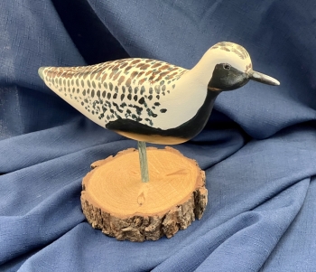 Black Plover Decoy of Tupelo Wood