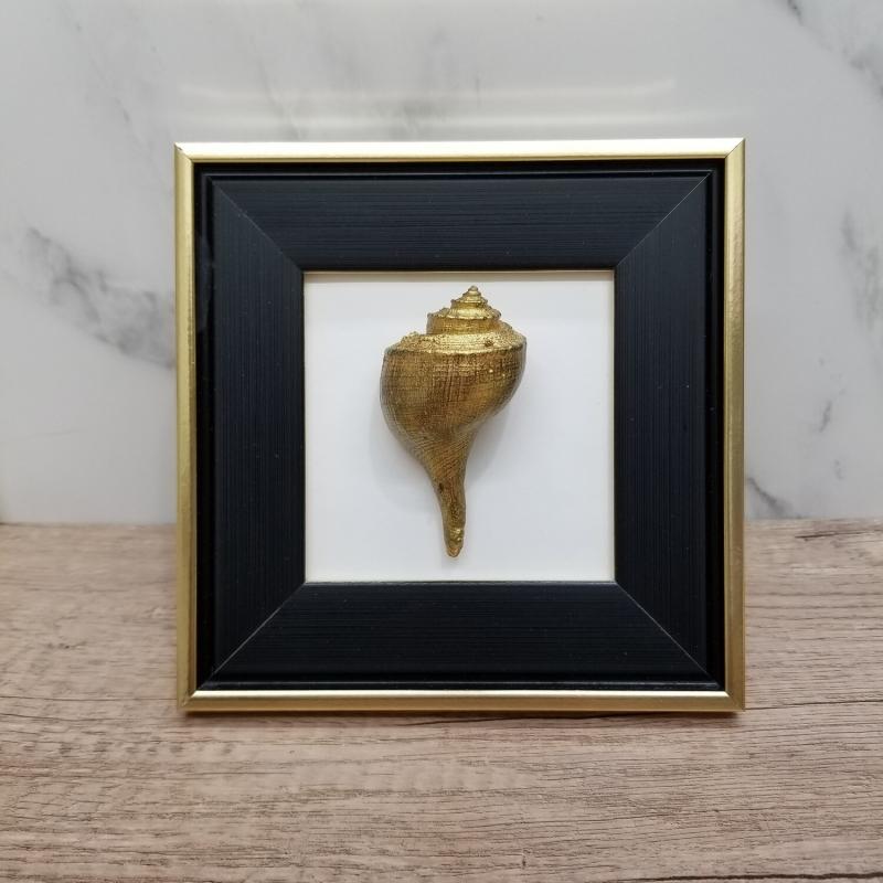 Sea Midas Hand Painted 24K Conch Shell in Small Frame