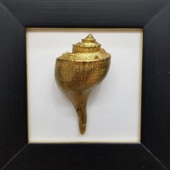 Sea Midas Hand Painted 24K Conch Shell in Small Frame