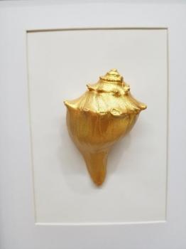 Sea Midas Hand Painted 24K Conch Shell in Frame