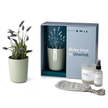 Lavender Grow Kit