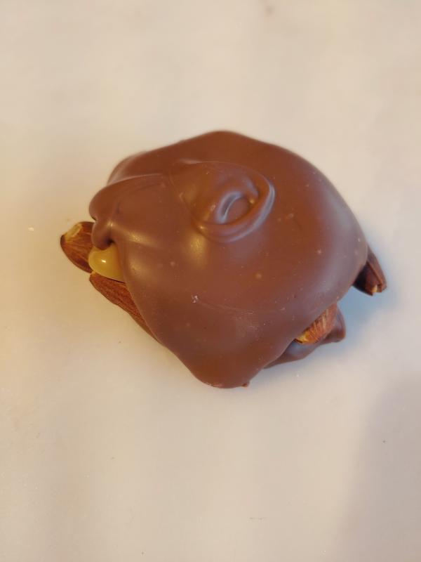 Milk Chocolate Almond Turtle