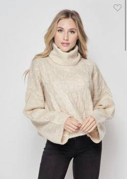 Cozy Knit Turtle Sweater