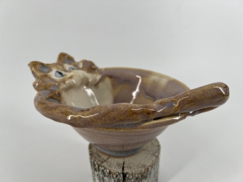 Cat Bowl