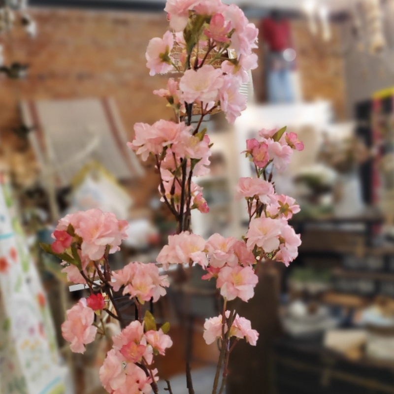 Stem - Cherry Blossom