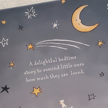 Little Star Board Book