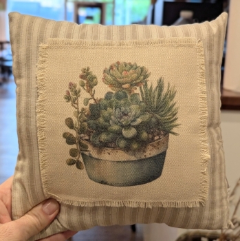 Decorative Pillow with Succulent (varies)