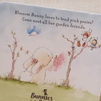 Book - Hide and Seek in Blossom's Garden