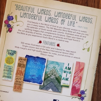 NIV Beautiful Word Bible