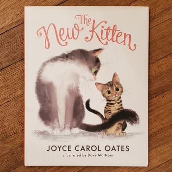 The New Kitten