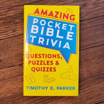 Amazing Pocket Bible Trivia: Questions, Puzzles & Quizzes