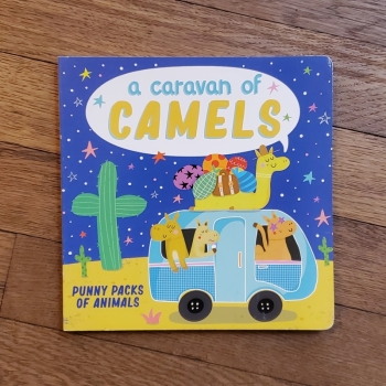Board Book - A Caravan of Camels