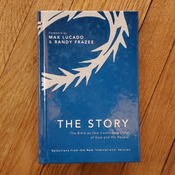 NIV The Story