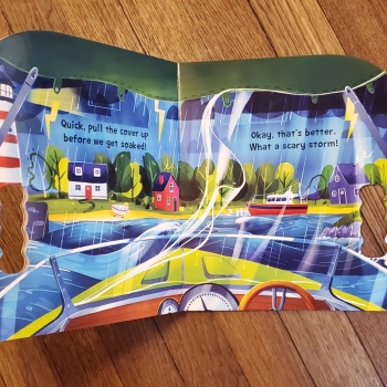 Board Book - Speedboat Splash! (Take the Wheel)