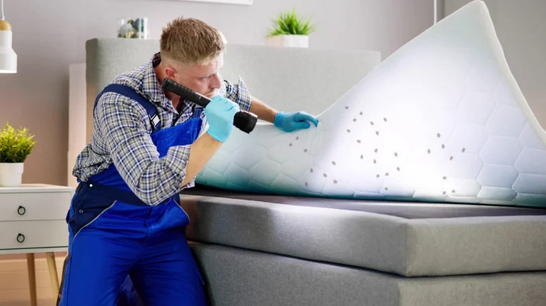 how to prepare for bed bug treatment