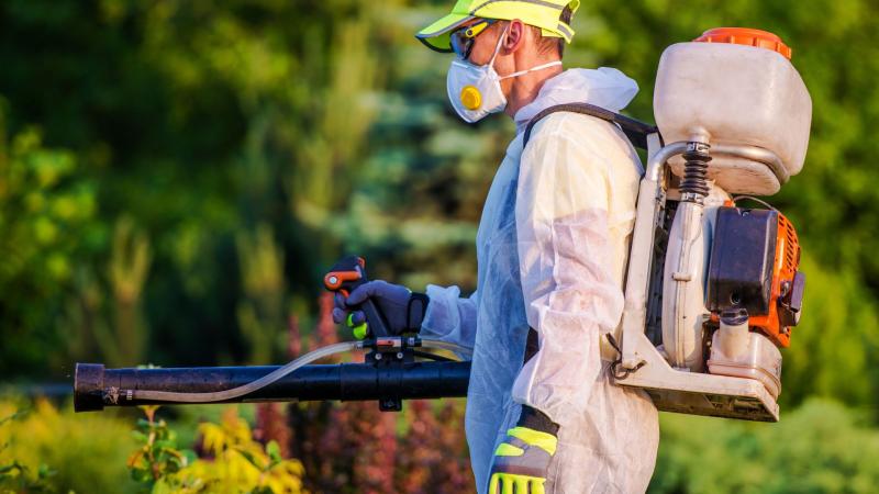 pest control