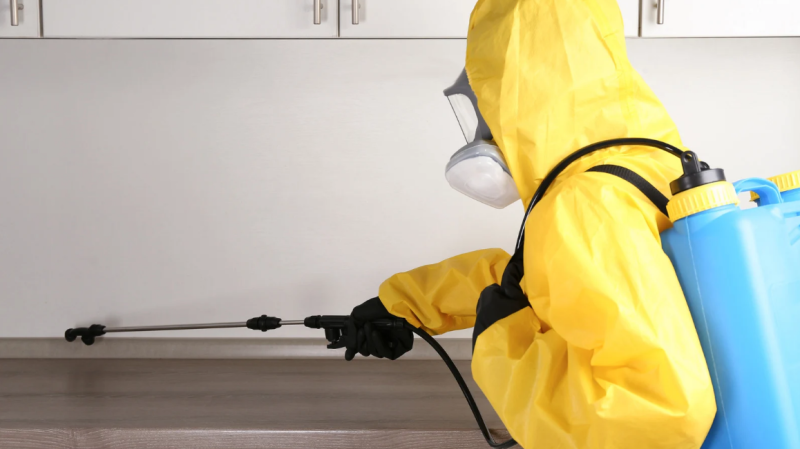 Benefits Of Hiring A Pest Control Professionals: Why Diy Isn't Always 