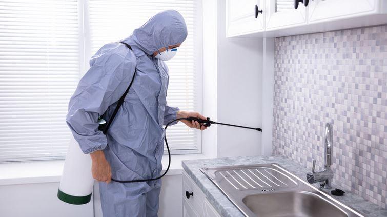 restaurant pest control