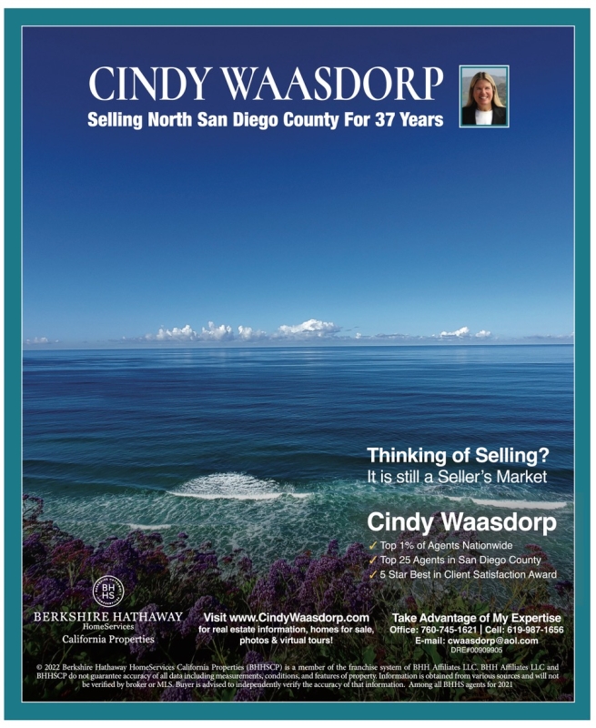 Cindy Waasdorp Realtor