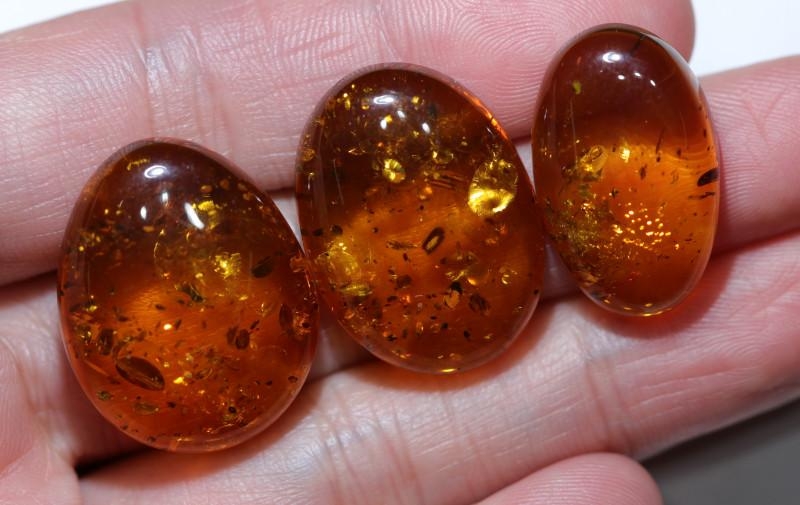 Amber.5