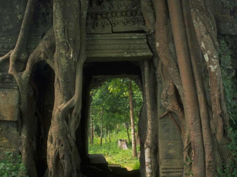 Angkor.3 2