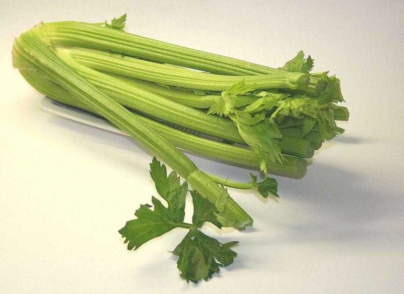 celery-74333 1280