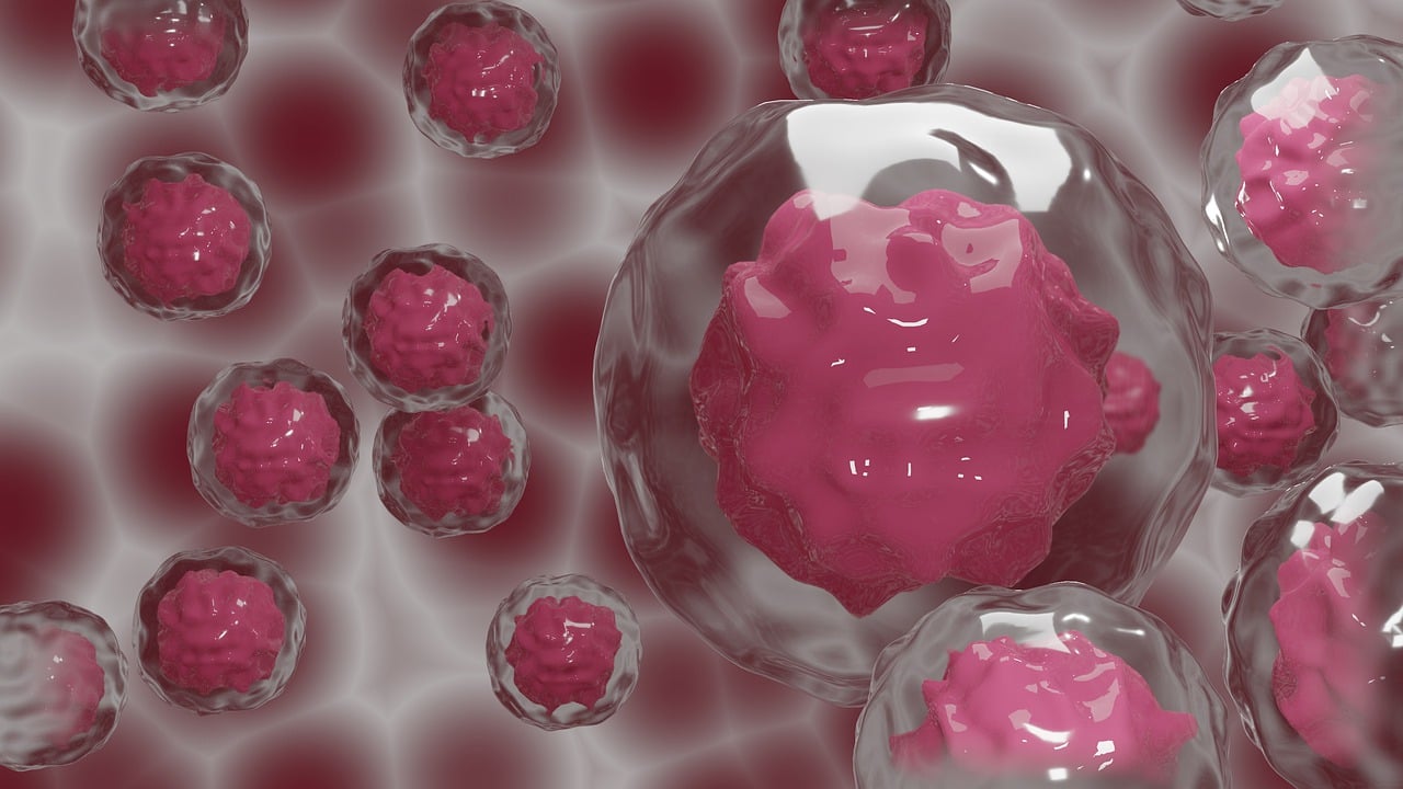 A.Cell