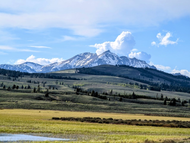 pexels-brett-buskirk-70981875-33145814 1