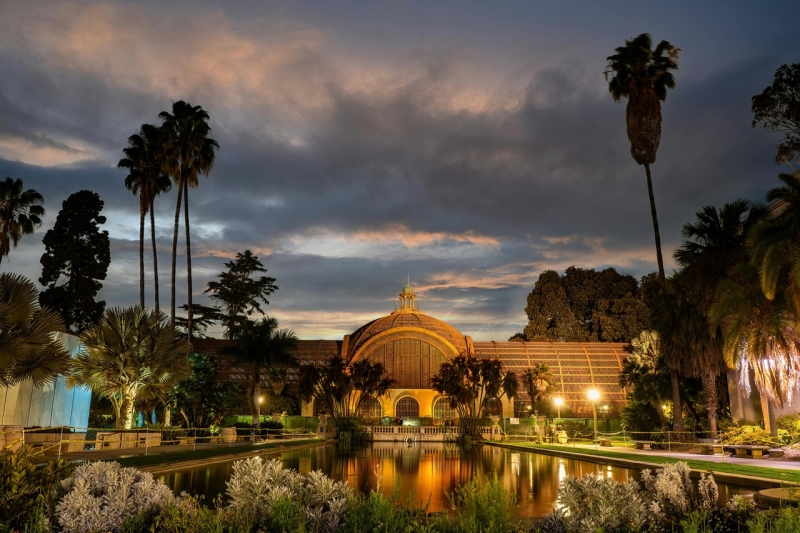 pexels-michael-concepcion-204164254-11628290