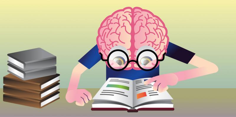 reading brain