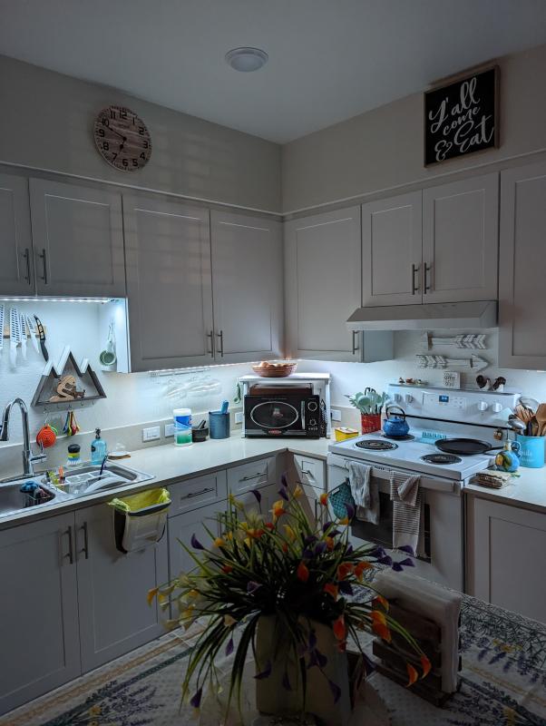 Under Cabinet Lighting [Kitchens]