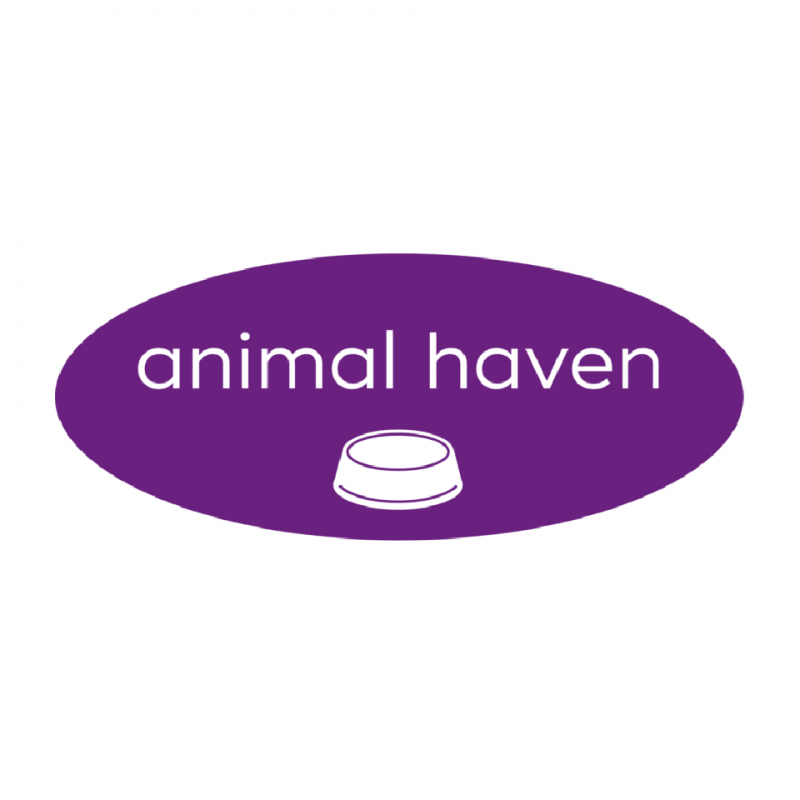 Animal Haven