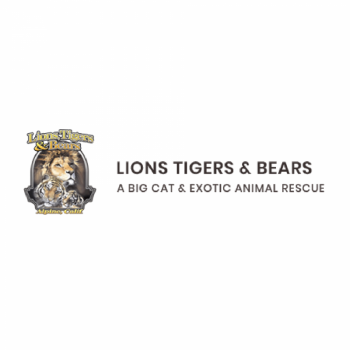 Lions Tigers & Bears – A Big Cat & Exotic Animal Rescue