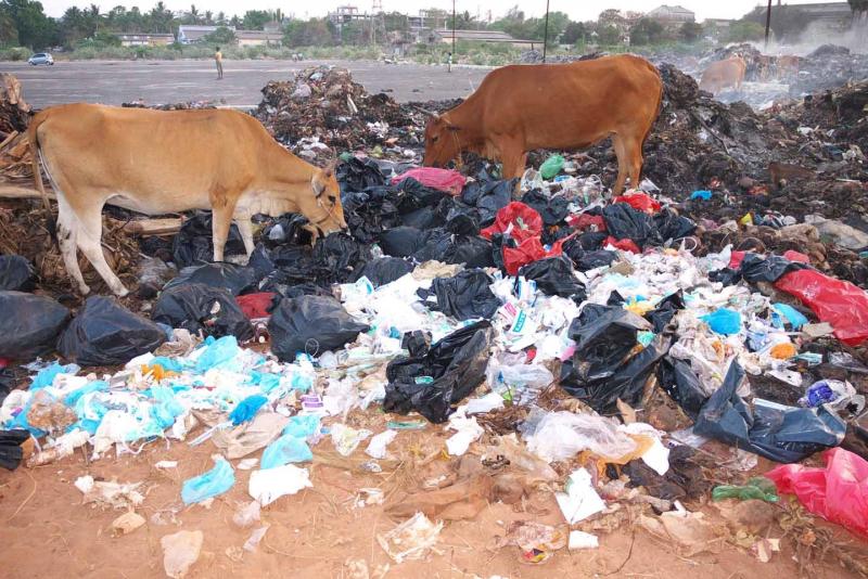 problem of medical waste