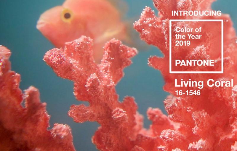 pantone-color-of-the-year-2019-living-coral-e1545376994299