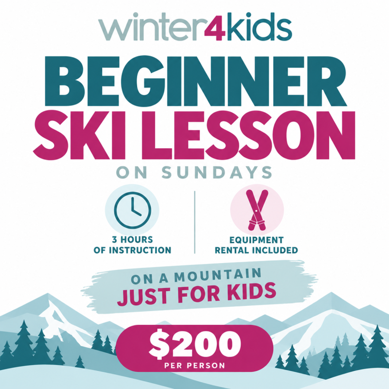 Single Day SKI Lesson